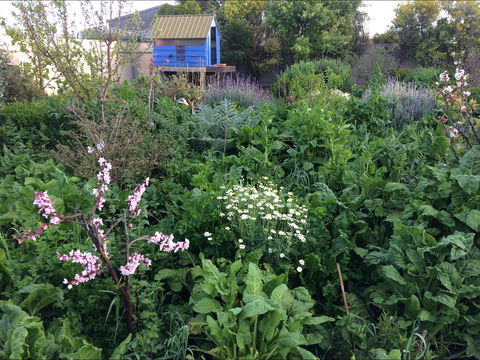 Down To Earth Permaculture - Accommodation NSW 0
