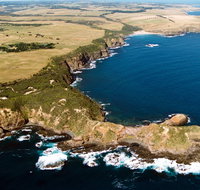 Fingal Beach Walk - Accommodation NSW