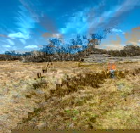 Goldseekers track - Accommodation NSW