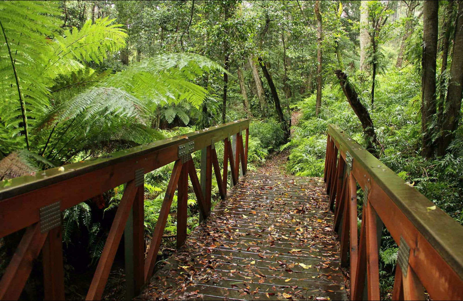 South Wolumla NSW Accommodation NSW