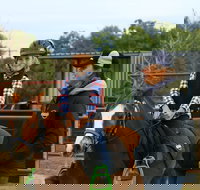 Horse Riding Lessons and Trail Rides - Accommodation NSW