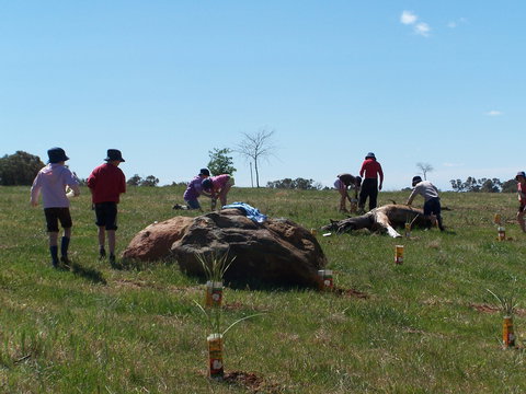Jim Salmon  Wetland Education Site - Accommodation NSW 0