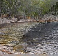 Lake Rowallan - Accommodation NSW