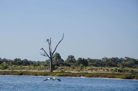 Mandurah Estuary And Peel Inlet - Accommodation NSW 1