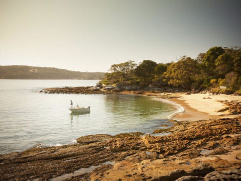 Manly To Spit Bridge Scenic Walkway - Accommodation NSW 1
