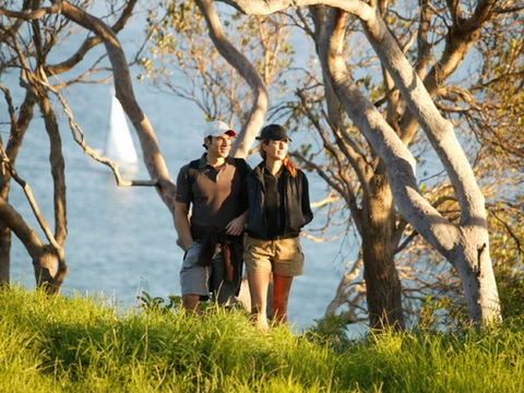Manly To Spit Bridge Scenic Walkway - Accommodation NSW 2