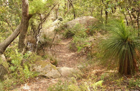Mount Carnarvon Walking Track - Accommodation NSW 0