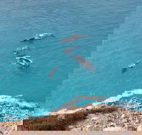 Nullarbor National Park - Accommodation NSW