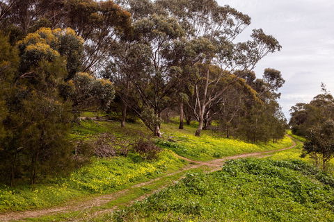 O'Halloran Hill Recreation Park - Accommodation NSW 1
