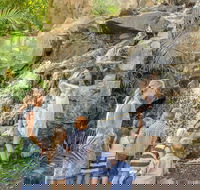 Queens Park Waterfall - Accommodation NSW
