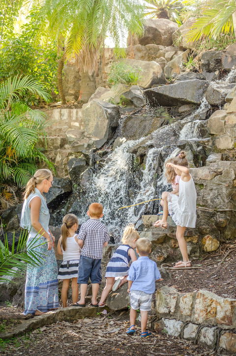 Queens Park Waterfall - Accommodation NSW 0