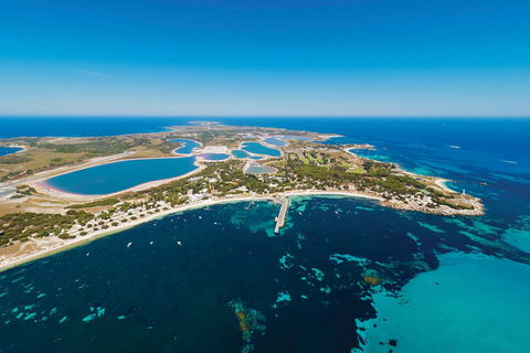 Rottnest By Ferry And Bicycle - Accommodation NSW 1