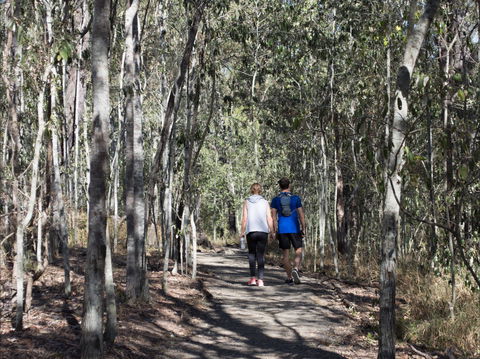 Six Mile Creek, Bluff Lookout And Little White Rock Trails - Accommodation NSW 0