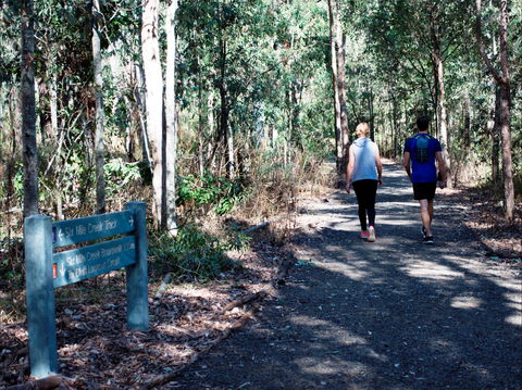Six Mile Creek, Bluff Lookout And Little White Rock Trails - Accommodation NSW 2