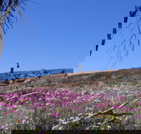 Talgomine Reserve - Accommodation NSW