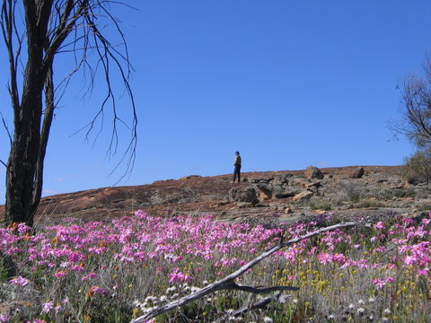 Talgomine Reserve - Accommodation NSW 0