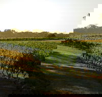 The South West Nature and Wine Drive - Accommodation NSW