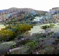 The Bellbird - Accommodation NSW