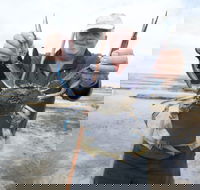 Tiddy Widdy Beach - Accommodation NSW