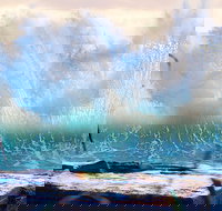 Tugun - Accommodation NSW