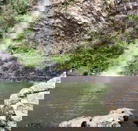 Twin Falls Circuit Springbrook National Park - Accommodation NSW