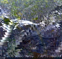 Ugly Corner Falls Walking Track - Accommodation NSW