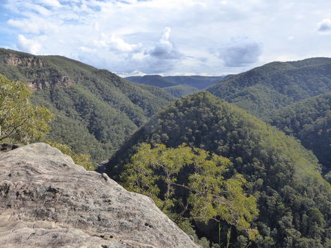 Vale Of Avoca - Accommodation NSW 0