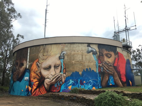 Willans Hill Water Tower Mural - Accommodation NSW 0