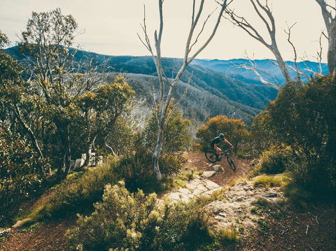 Australian Alpine Epic Mountain Bike Trail - Accommodation NSW 1