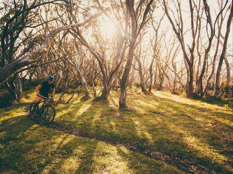 Australian Alpine Epic Mountain Bike Trail - Accommodation NSW 2