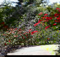 Benalla Botanical Gardens