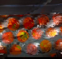 Bottle House and Mining Museum - Accommodation NSW