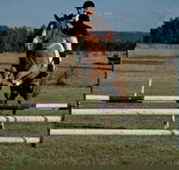 Camden Bicentennial Equestrian Park - Accommodation NSW