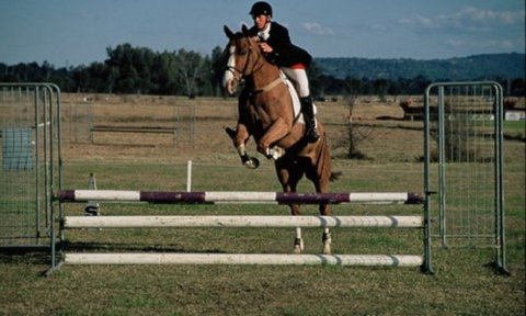 Camden Bicentennial Equestrian Park - Accommodation NSW 0