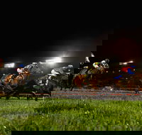 Canterbury Park Racecourse - Accommodation NSW
