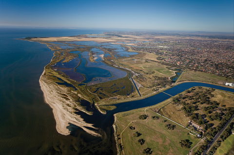 Cheetham Wetlands - Accommodation NSW 0