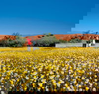 Coorow Farm Wildflower Trail - Accommodation NSW