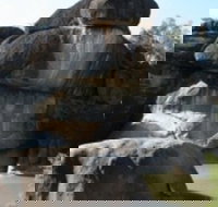 Cranky Rock Nature Reserve - Accommodation NSW