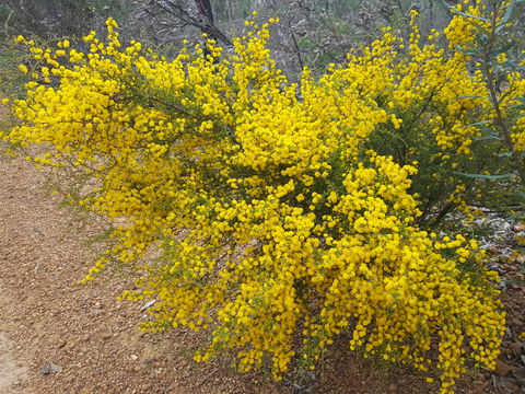 Dawn Atwell Nature Reserve - Accommodation NSW 2