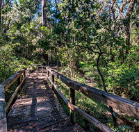 Dawson River Walking Track - Accommodation NSW