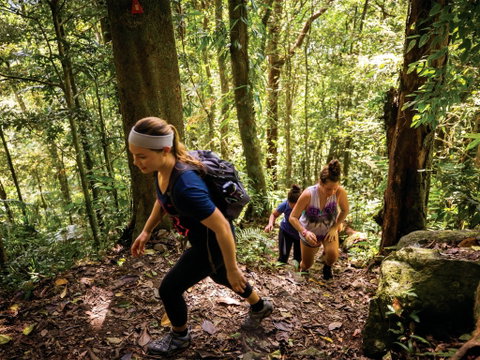 Devils Thumb (Manjal Jimalji) Trail - Accommodation NSW 0