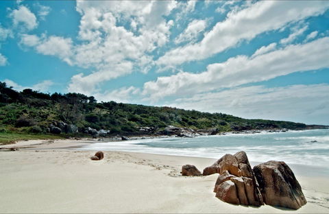 Fishermans Bay Foreshore - Accommodation NSW 0