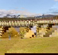 Historic Tabulam DeBurgh Timber Bridge - Accommodation NSW