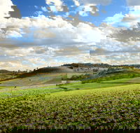Hodgson Vale - Accommodation NSW