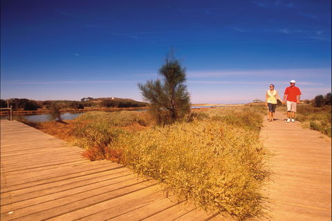 Irwin River Nature Trail - Accommodation NSW 0