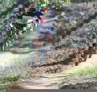 Kidsons Cycles - Accommodation NSW