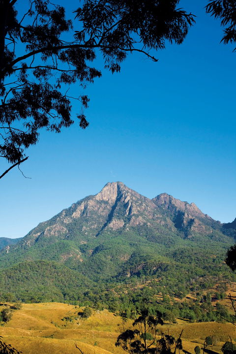Lower Portals Track, Mount Barney National Park - Accommodation NSW 0