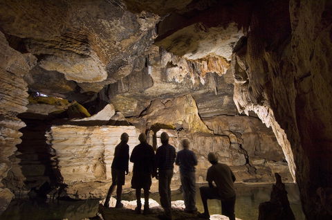 Mimbi Caves - Accommodation NSW 2