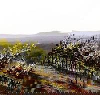 Mount View - Accommodation NSW