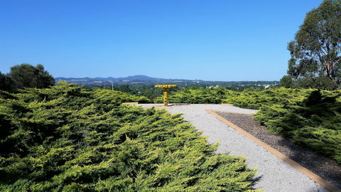 Mt Lindsay Rotary Park - Accommodation NSW 0